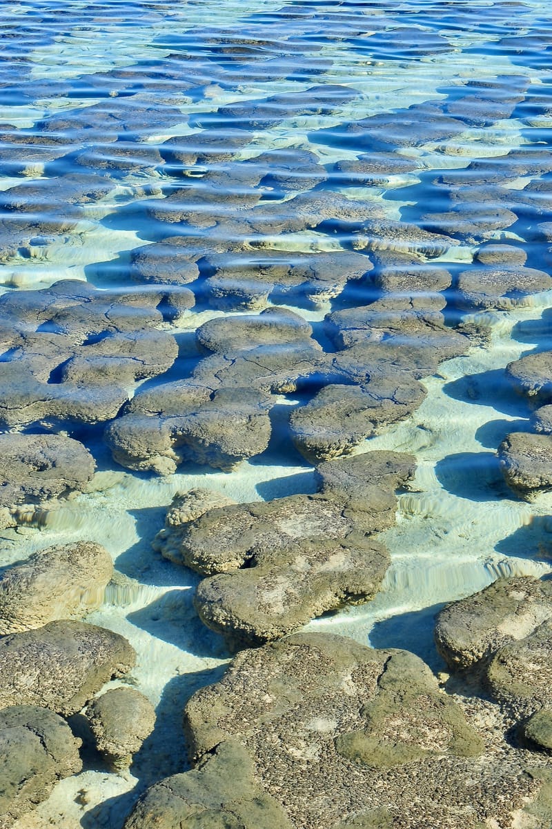 Stromatolites Version 2
