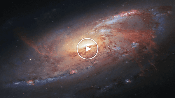 Video preview for How To Know Whatever Created Life